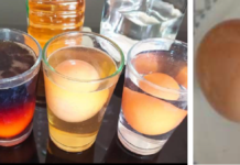 Dia Mundial da Saúde Oral em destaque pelo Clube UNESCO CTeC “Porque é que as bebidas ácidas afetam os nossos dentes?”