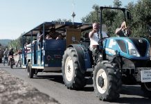 Círio de Olhalvo à Senhora da Nazaré